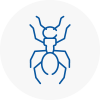 Ant Removals In Tilehurst