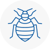 Bed Bug Extermination In Tilehurst