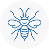 Tilehurst Hornet Nest Removals