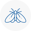 Moth Control Specialists In Tilehurst