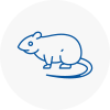 Rat Control Tilehurst