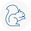 Tilehurst Rodent Removals