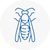 Tilehurst Wasp Nest Removal